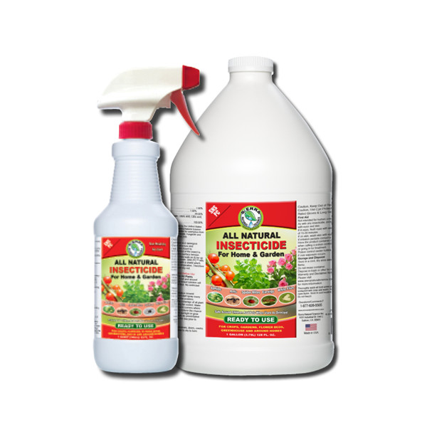 masina de umplere de insecticide (6)